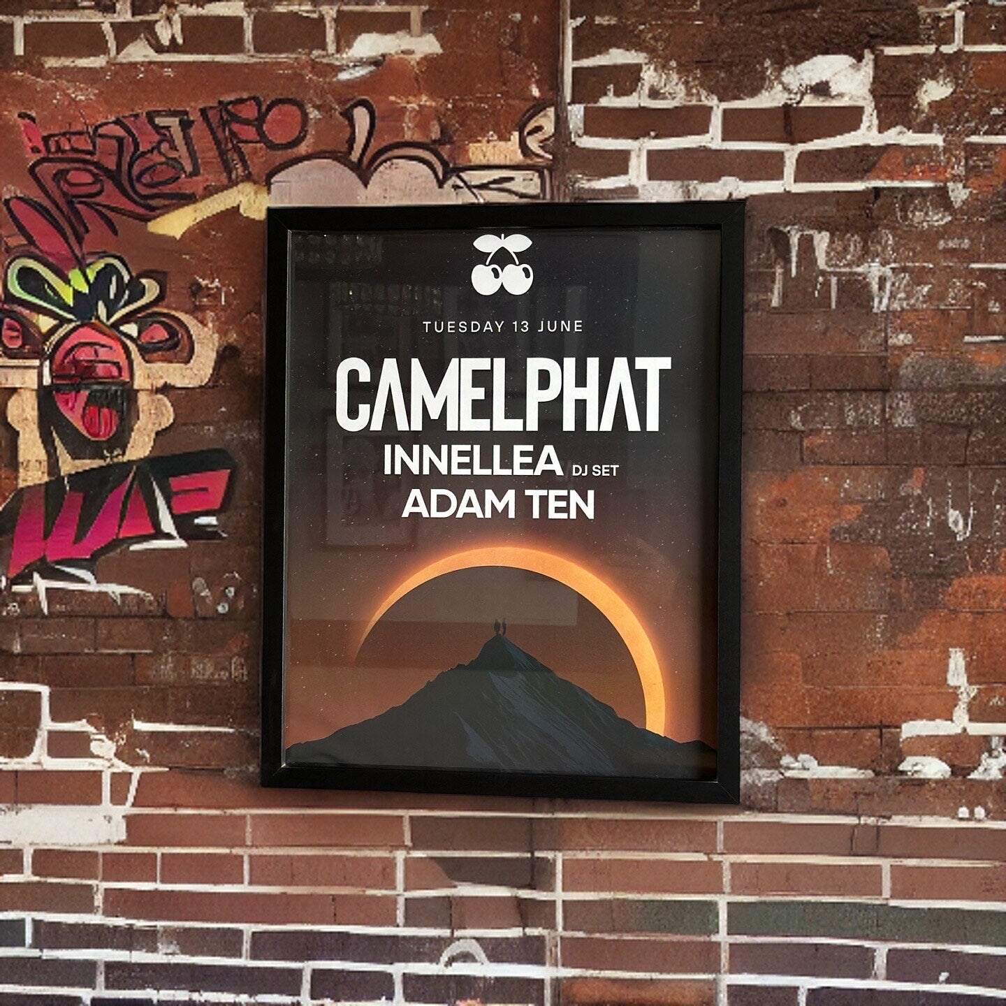 Camelphat ~ Genuine Pacha Ibiza Framed Dj Artwork | A3 Luxury Black Frame